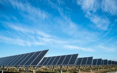 Solarpark kaufen – So investieren Sie in PV-Anlagen